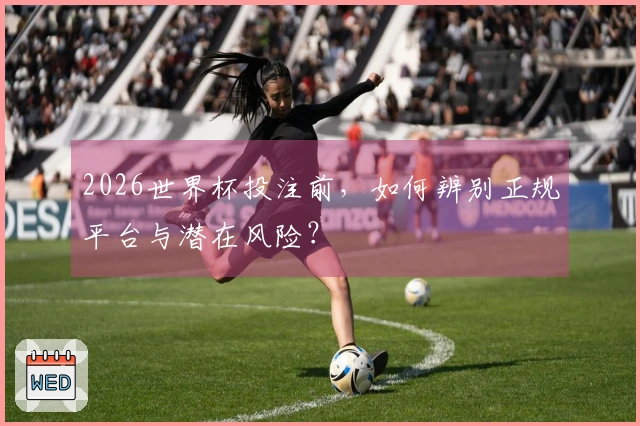 2026世界杯投注前，如何辨别正规平台与潜在风险？
