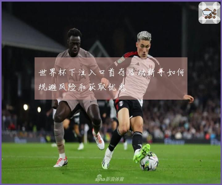 世界杯下注入口首存活动新手如何规避风险和获取优惠