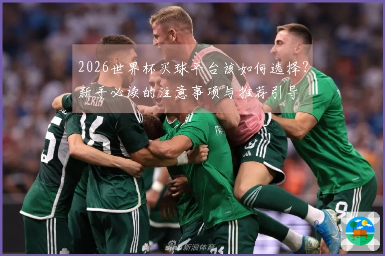 2026世界杯买球平台该如何选择？新手必读的注意事项与推荐引导